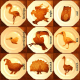 Illustration for article titled Animals in Unbelievable Detail Drawn Entirely in Pancake Batter